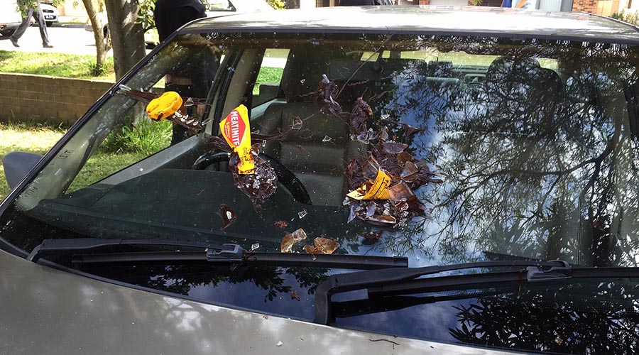 Black Comedy - Vegemite Smash